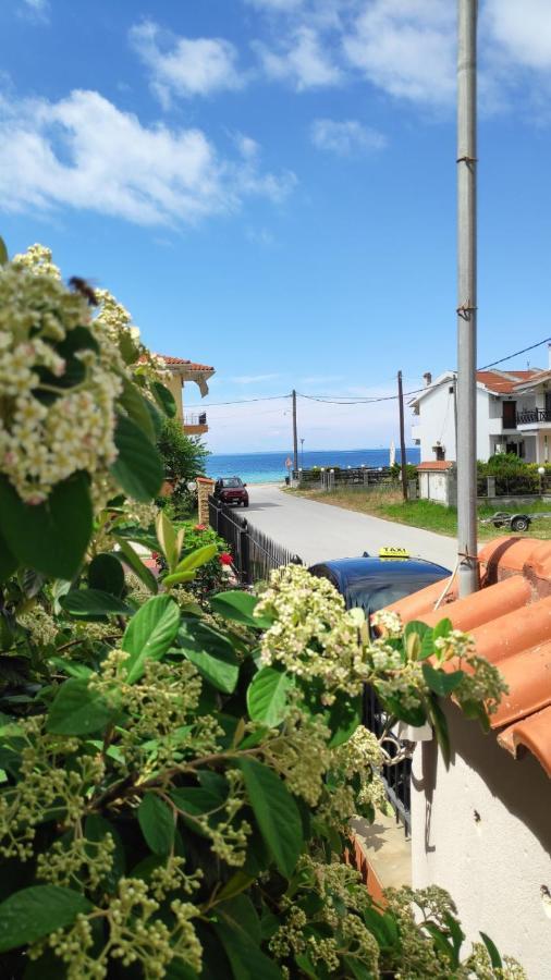 Villa Amber Blue Nikiti  Exterior foto